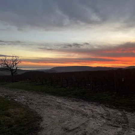 Villa Csipetnyi Chill *