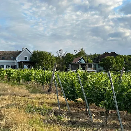 Csipetnyi Chill Obudavar