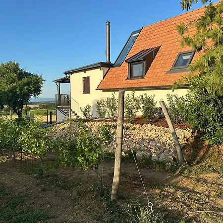 Vila Csipetnyi Chill Vendeghaz