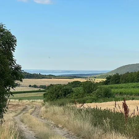 Csipetnyi Chill * Obudavar