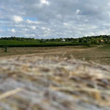 Villa Csipetnyi Chill *