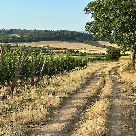 Csipetnyi Chill Vendeghaz * Obudavar