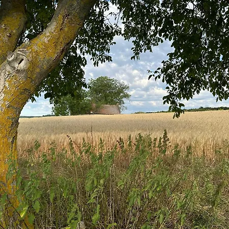 Csipetnyi Chill Vendeghaz