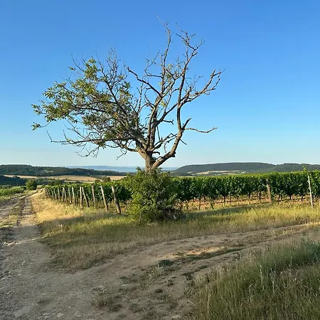 Csipetnyi Chill Vendeghaz Вилла