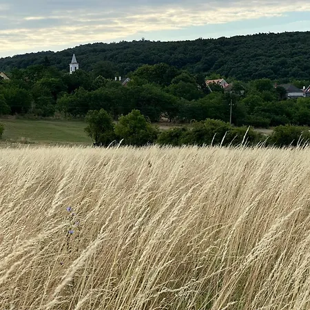 Вилла Csipetnyi Chill Vendeghaz