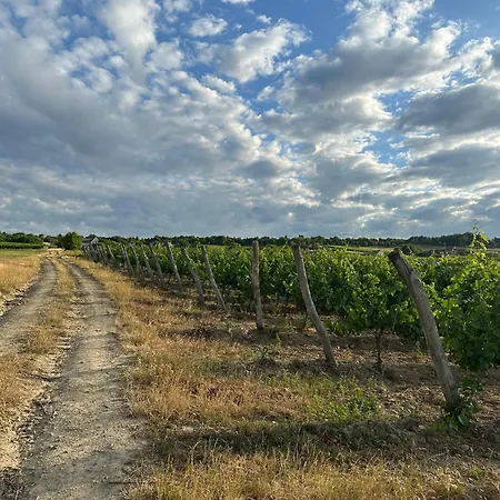 Csipetnyi Chill Villa Obudavar