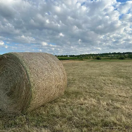 Csipetnyi Chill Vendeghaz