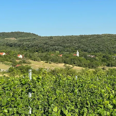 Csipetnyi Chill Villa Obudavar