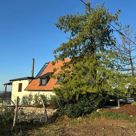 Csipetnyi Chill Vendeghaz Obudavar