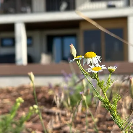 Villa Csipetnyi Chill