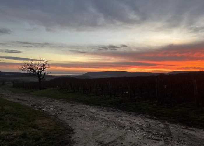 וילה Csipetnyi Chill Vendeghaz *