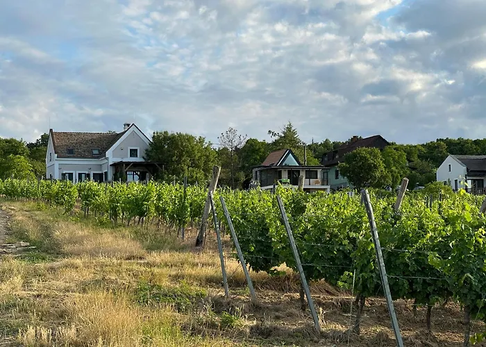 Csipetnyi Chill Vendeghaz Obudavar