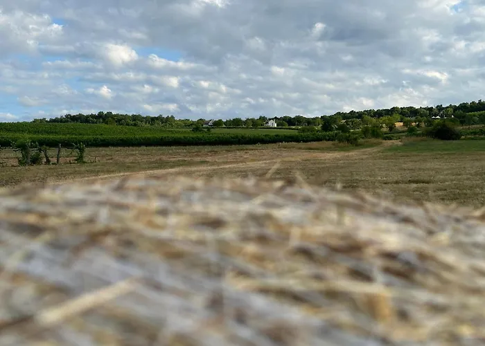 וילה Csipetnyi Chill Vendeghaz *