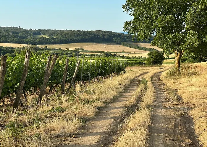 Csipetnyi Chill Vendeghaz * Obudavar