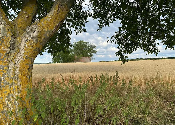 Csipetnyi Chill Vendeghaz