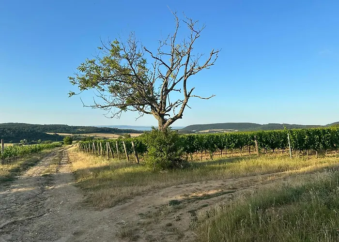 Csipetnyi Chill Vendeghaz וילה