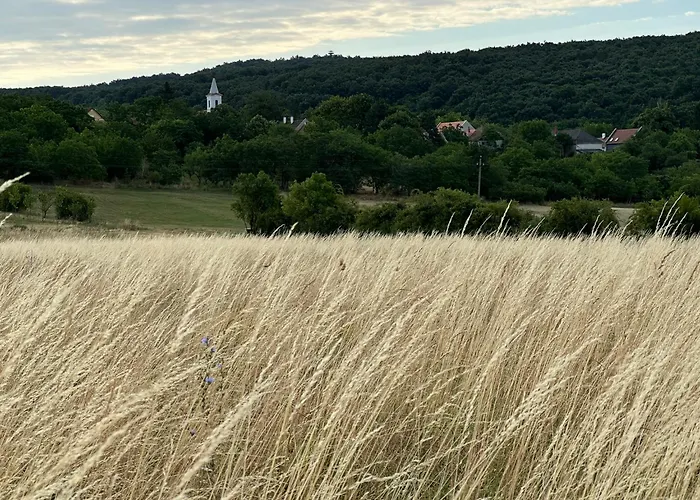 וילה Csipetnyi Chill Vendeghaz