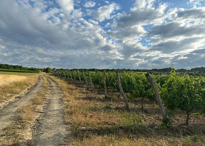 Csipetnyi Chill Vendeghaz וילה Obudavar