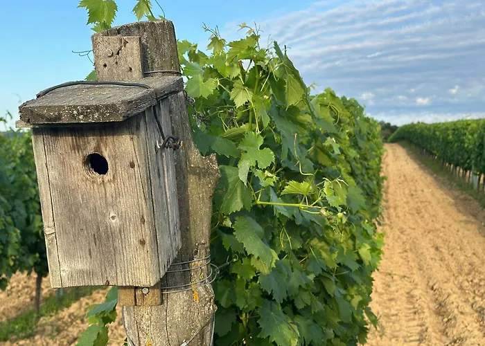 Csipetnyi Chill Vendeghaz וילה *