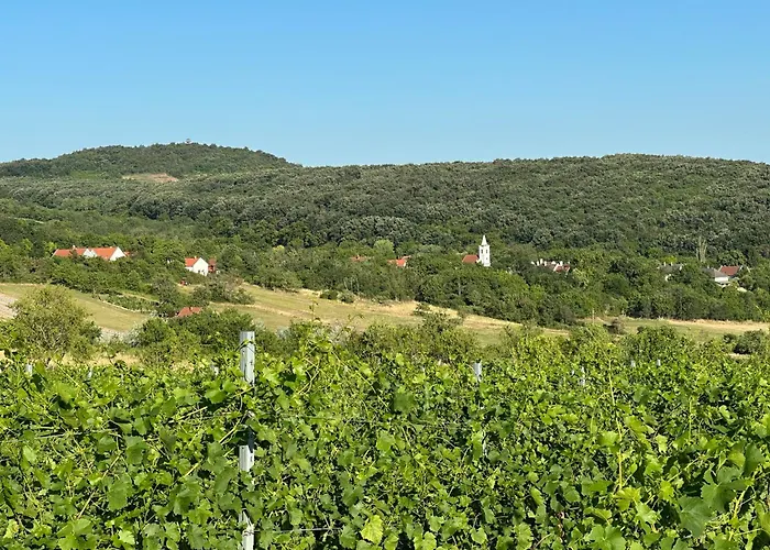Csipetnyi Chill Vendeghaz Vila Obudavar