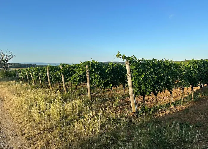 וילה Csipetnyi Chill Vendeghaz Obudavar