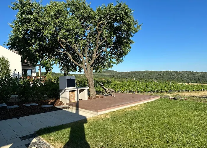 Csipetnyi Chill Vendeghaz Obudavar