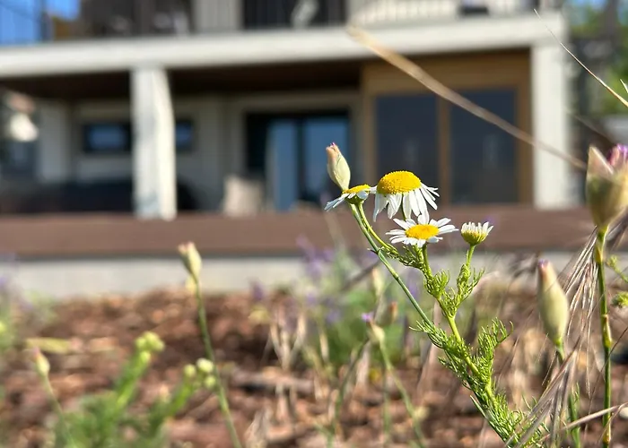 וילה Csipetnyi Chill Vendeghaz