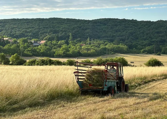 Csipetnyi Chill Vendeghaz Obudavar